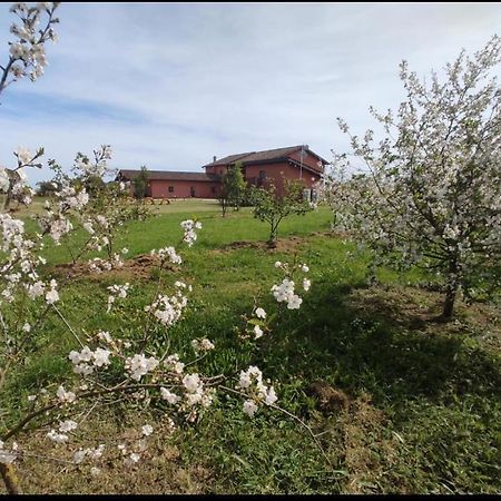 Bed and Breakfast Il Casale Di Giulia Di Aprilia Exterior foto