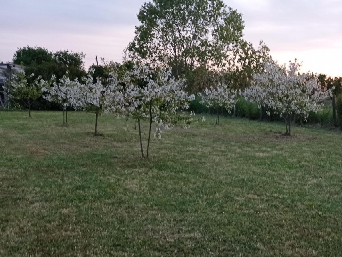 Bed and Breakfast Il Casale Di Giulia Di Aprilia Exterior foto