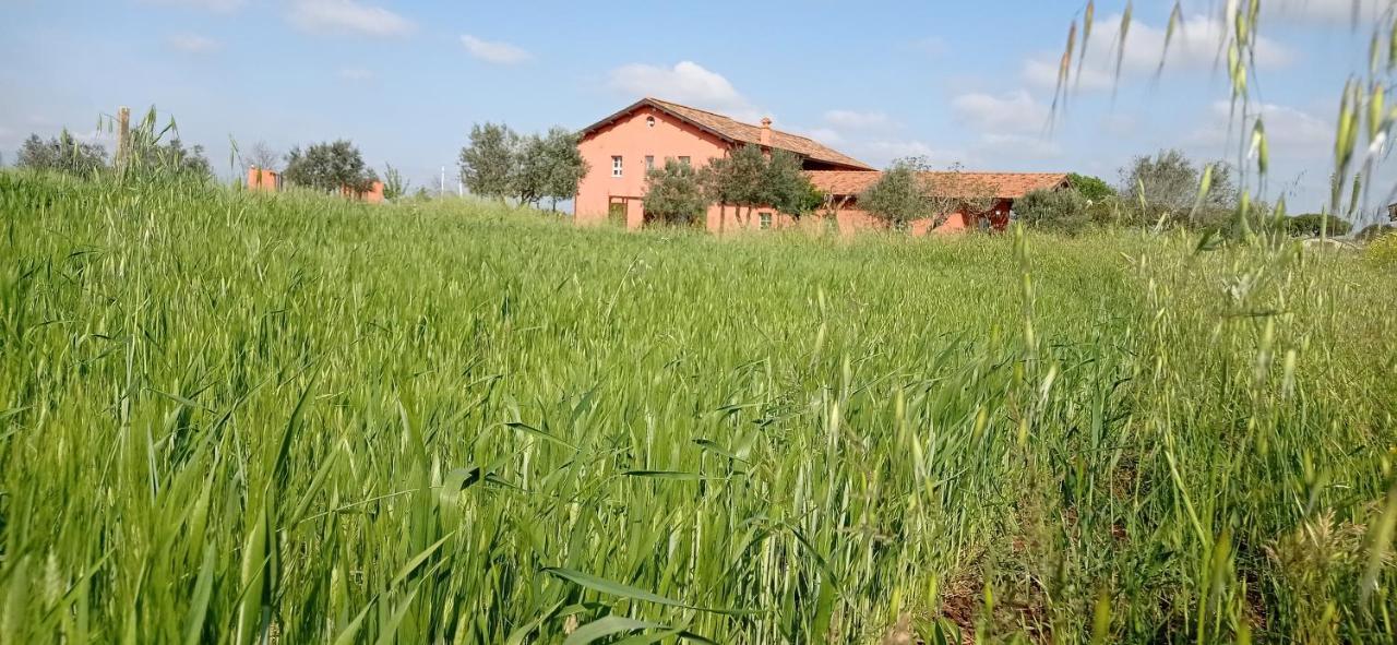 Bed and Breakfast Il Casale Di Giulia Di Aprilia Exterior foto