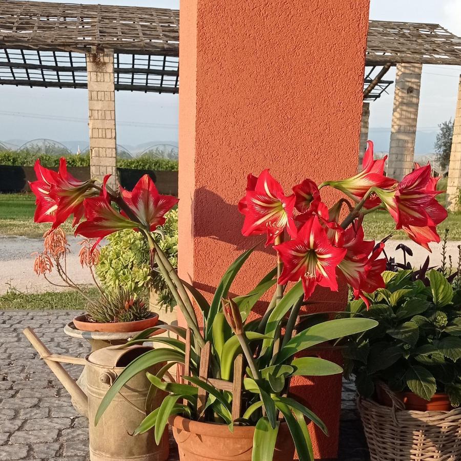 Bed and Breakfast Il Casale Di Giulia Di Aprilia Exterior foto