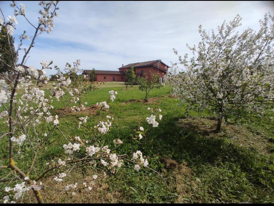 Bed and Breakfast Il Casale Di Giulia Di Aprilia Exterior foto