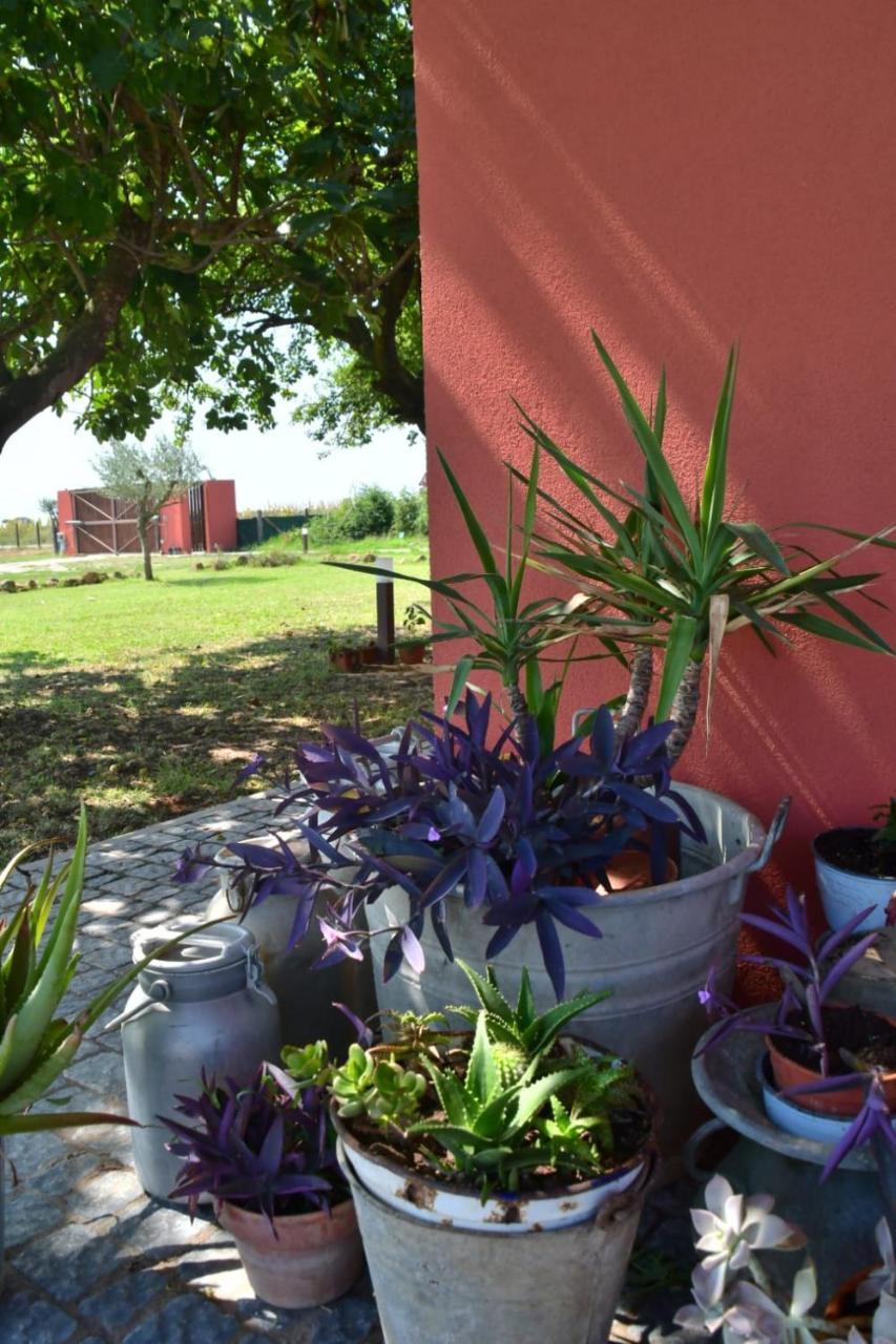 Bed and Breakfast Il Casale Di Giulia Di Aprilia Exterior foto